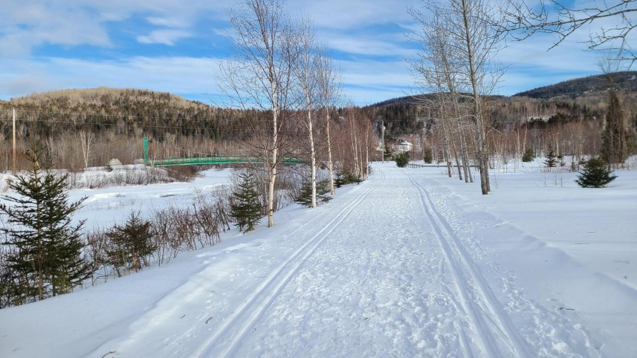 Condo-Chalet De La Vallee D'Edouard LʼAnse-Saint-Jean 外观 照片