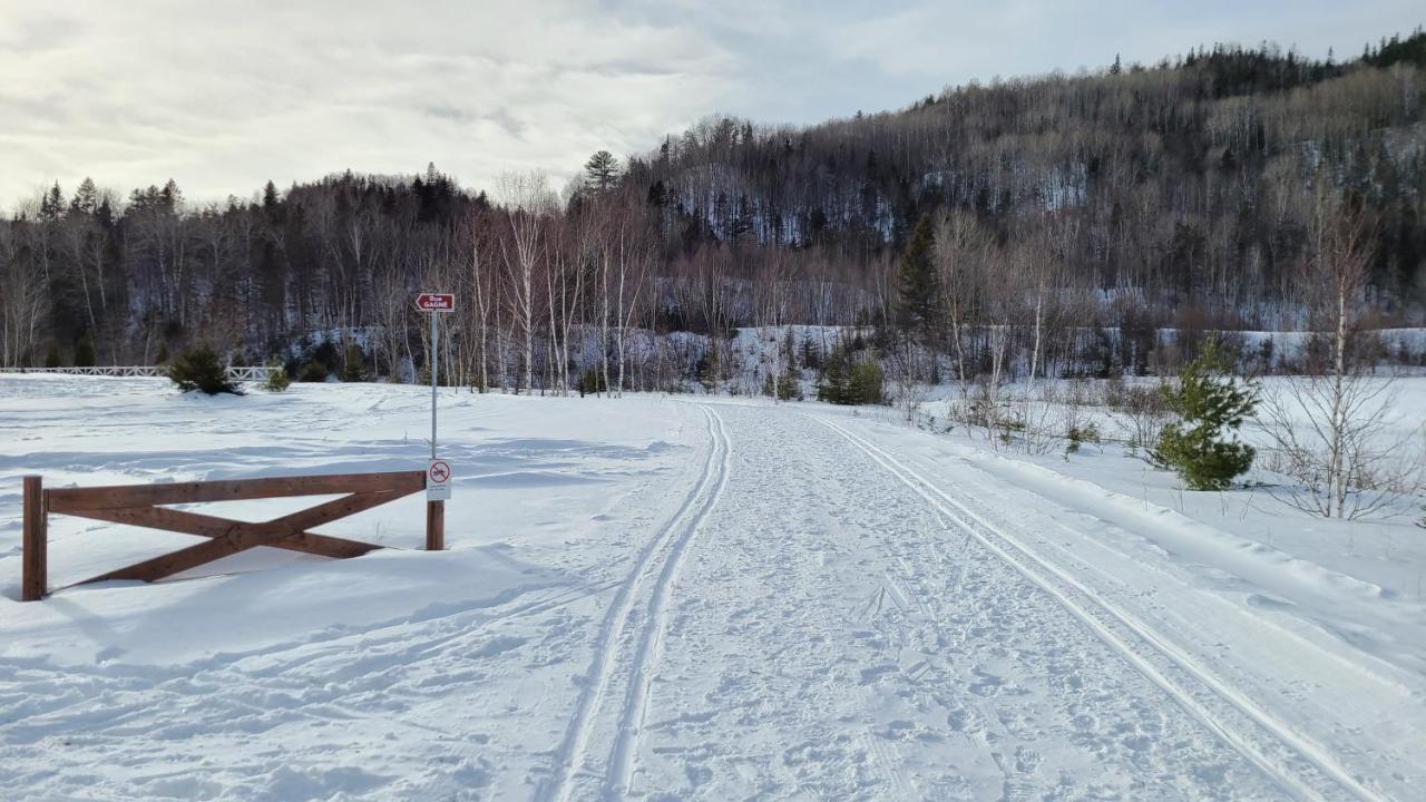 Condo-Chalet De La Vallee D'Edouard LʼAnse-Saint-Jean 外观 照片
