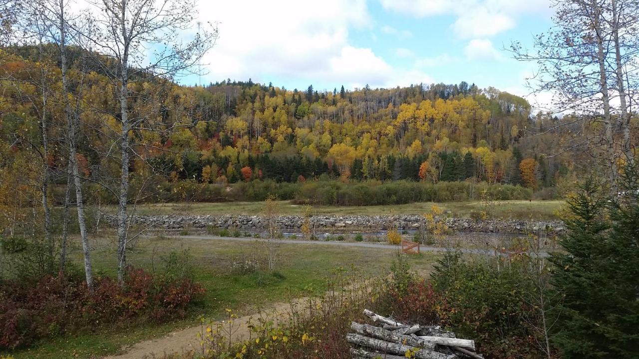 Condo-Chalet De La Vallee D'Edouard LʼAnse-Saint-Jean 外观 照片
